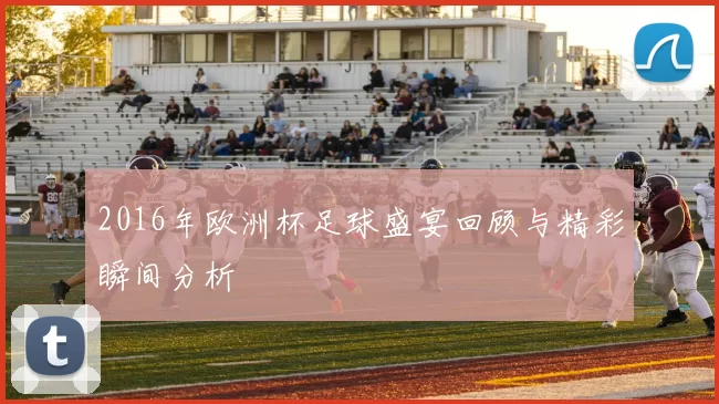 2016年欧洲杯足球盛宴回顾与精彩瞬间分析