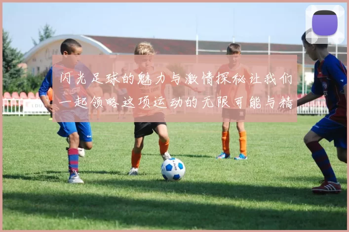 闪光足球的魅力与激情探秘让我们一起领略这项运动的无限可能与精彩瞬间