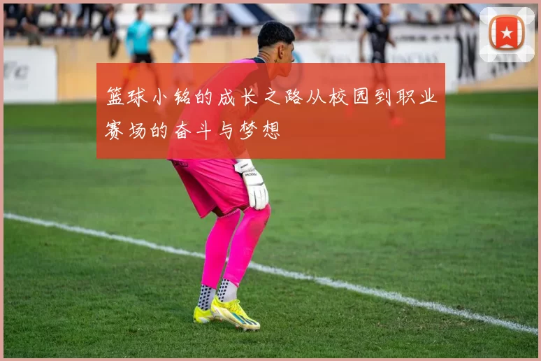 篮球小铭的成长之路从校园到职业赛场的奋斗与梦想